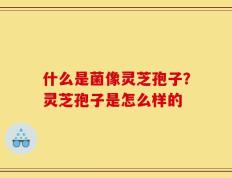 什么是菌像灵芝孢子？灵芝孢子是怎么样的