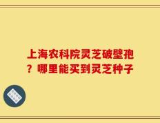 上海农科院灵芝破壁孢？哪里能买到灵芝种子