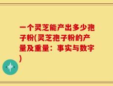一个灵芝能产出多少孢子粉(灵芝孢子粉的产量及重量：事实与数字)