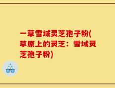 一草雪域灵芝孢子粉(草原上的灵芝：雪域灵芝孢子粉)
