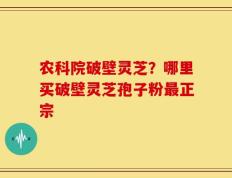 农科院破壁灵芝？哪里买破壁灵芝孢子粉最正宗