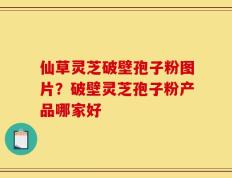 仙草灵芝破壁孢子粉图片？破壁灵芝孢子粉产品哪家好