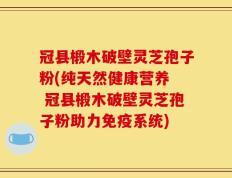 冠县椴木破壁灵芝孢子粉(纯天然健康营养  冠县椴木破壁灵芝孢子粉助力免疫系统)