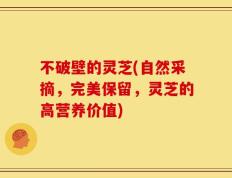 不破壁的灵芝(自然采摘，完美保留，灵芝的高营养价值)