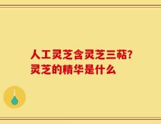 人工灵芝含灵芝三萜？灵芝的精华是什么