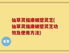仙草灵福康破壁灵芝(仙草灵福康破壁灵芝功效及使用方法)