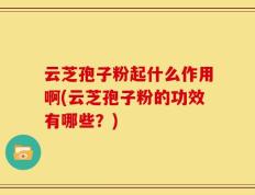 云芝孢子粉起什么作用啊(云芝孢子粉的功效有哪些？)