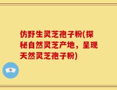 仿野生灵芝孢子粉(探秘自然灵芝产地，呈现天然灵芝孢子粉)