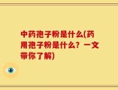 中药孢子粉是什么(药用孢子粉是什么？一文带你了解)