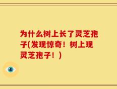 为什么树上长了灵芝孢子(发现惊奇！树上现灵芝孢子！)