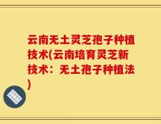 云南无土灵芝孢子种植技术(云南培育灵芝新技术：无土孢子种植法)