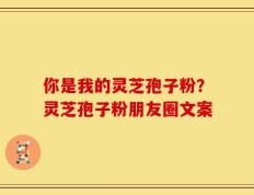 你是我的灵芝孢子粉？灵芝孢子粉朋友圈文案