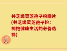 井芝缘灵芝孢子粉图片(井芝缘灵芝孢子粉：拥抱健康生活的必备选择)