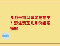 几月份可以采灵芝孢子？野生灵芝几月份能采摘呢