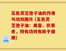 五色灵芝孢子油的作用与功效图片 (五色灵芝孢子油：美容、抗衰老，特有功效有助于健康)