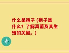 什么是孢子 (孢子是什么？了解真菌及其生殖的关键。)
