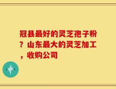 冠县最好的灵芝孢子粉？山东最大的灵芝加工，收购公司
