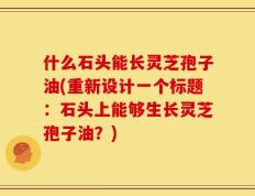 什么石头能长灵芝孢子油(重新设计一个标题：石头上能够生长灵芝孢子油？)