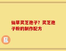 仙草灵芝孢子？灵芝孢子粉的制作配方