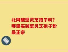 北同破壁灵芝孢子粉？哪里买破壁灵芝孢子粉最正宗