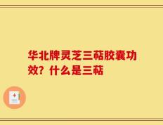 华北牌灵芝三萜胶囊功效？什么是三萜