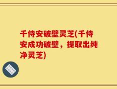 千侍安破壁灵芝(千侍安成功破壁，提取出纯净灵芝)