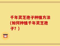 千年灵芝孢子种植方法(如何种植千年灵芝孢子？)