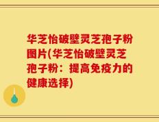 华芝怡破壁灵芝孢子粉图片(华芝怡破壁灵芝孢子粉：提高免疫力的健康选择)