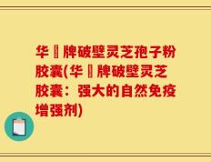华徳牌破壁灵芝孢子粉胶囊(华徳牌破壁灵芝胶囊：强大的自然免疫增强剂)