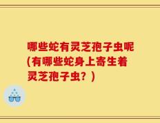 哪些蛇有灵芝孢子虫呢(有哪些蛇身上寄生着灵芝孢子虫？)
