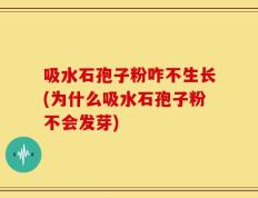 吸水石孢子粉咋不生长(为什么吸水石孢子粉不会发芽)
