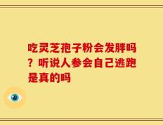 吃灵芝孢子粉会发胖吗？听说人参会自己逃跑是真的吗