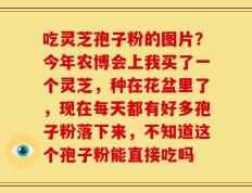 吃灵芝孢子粉的图片？今年农博会上我买了一个灵芝，种在花盆里了，现在每天都有好多孢子粉落下来，不知道这个孢子粉能直接吃吗