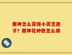原神怎么获得小灵芝孢子？原神花种匣怎么得