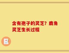 含有孢子的灵芝？鹿角灵芝生长过程