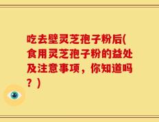 吃去壁灵芝孢子粉后(食用灵芝孢子粉的益处及注意事项，你知道吗？)