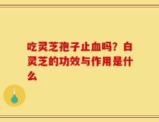 吃灵芝孢子止血吗？白灵芝的功效与作用是什么
