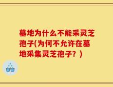 墓地为什么不能采灵芝孢子(为何不允许在墓地采集灵芝孢子？)