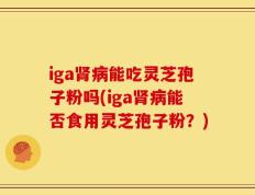 iga肾病能吃灵芝孢子粉吗(iga肾病能否食用灵芝孢子粉？)