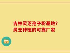 吉林灵芝孢子粉基地？灵芝种植的可靠厂家