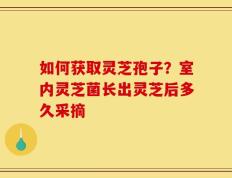 如何获取灵芝孢子？室内灵芝菌长出灵芝后多久采摘