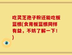 吃灵芝孢子粉还能吃板蓝根(食用板蓝根同样有益，不妨了解一下！)