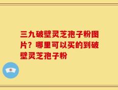 三九破壁灵芝孢子粉图片？哪里可以买的到破壁灵芝孢子粉