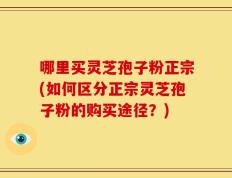 哪里买灵芝孢子粉正宗(如何区分正宗灵芝孢子粉的购买途径？)