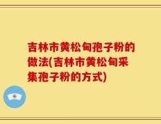吉林市黄松甸孢子粉的做法(吉林市黄松甸采集孢子粉的方式)
