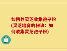如何养灵芝收集孢子粉(灵芝培育的秘诀：如何收集灵芝孢子粉)