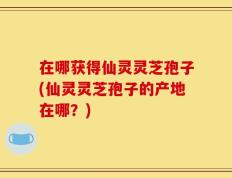 在哪获得仙灵灵芝孢子(仙灵灵芝孢子的产地在哪？)