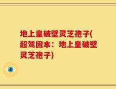 地上皇破壁灵芝孢子(超驾固本：地上皇破壁灵芝孢子)