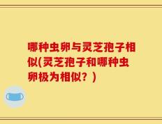 哪种虫卵与灵芝孢子相似(灵芝孢子和哪种虫卵极为相似？)
