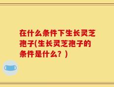 在什么条件下生长灵芝孢子(生长灵芝孢子的条件是什么？)